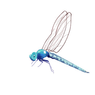 蓝绿色水墨风蜻蜓元素GIF动态图